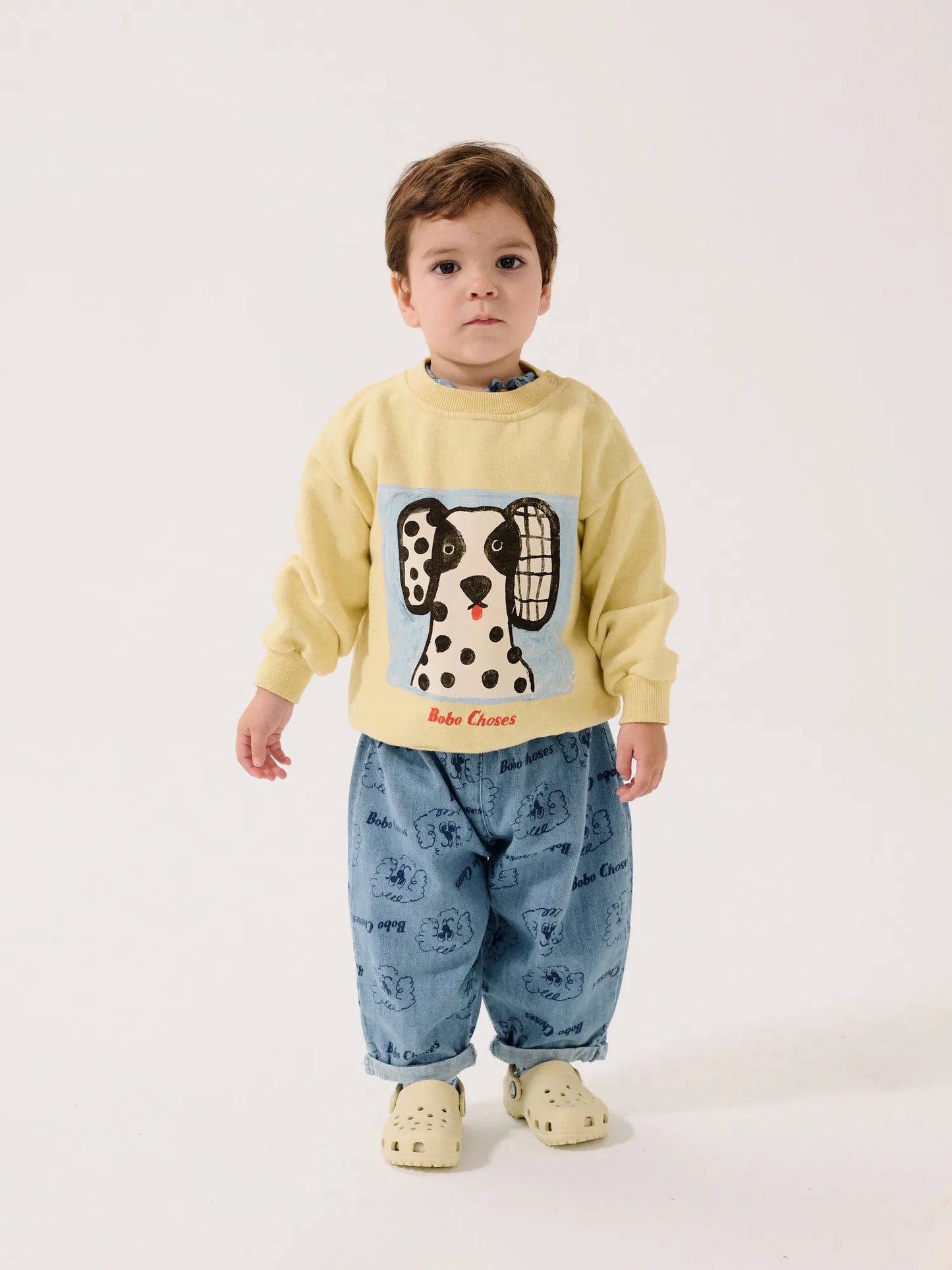 Van Dog sweartshirt
