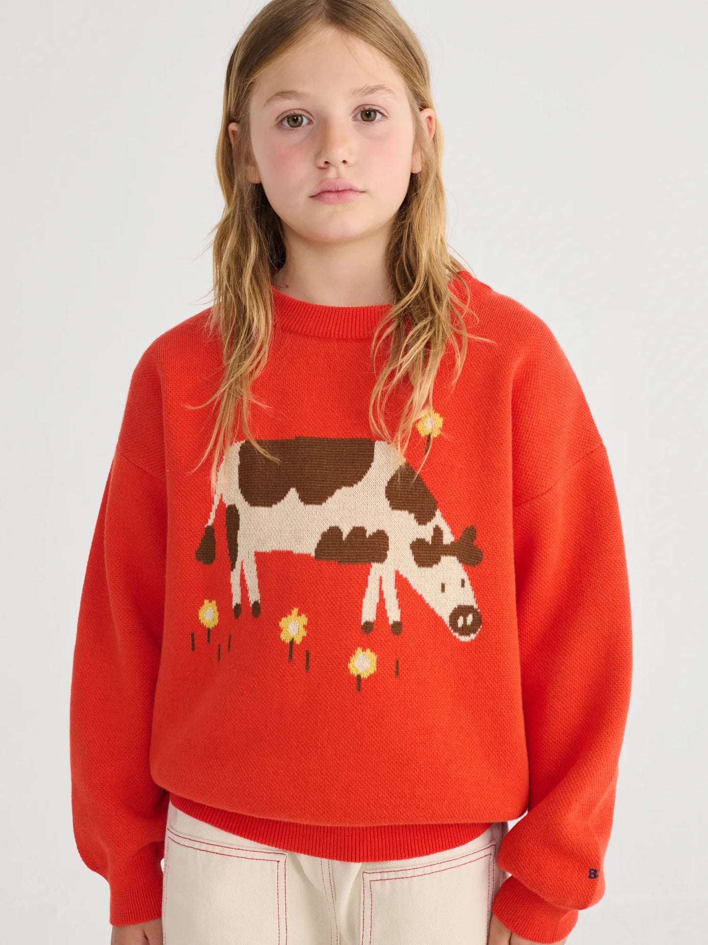 Farm Adventure jumper